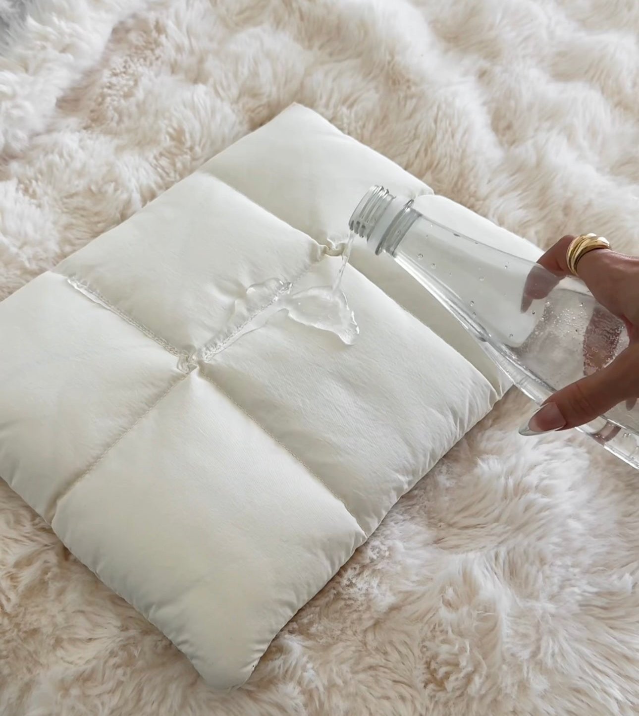 Prune | Housse de portable Puffer